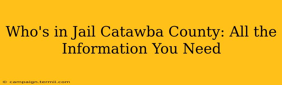 Who's in Jail Catawba County: All the Information You Need