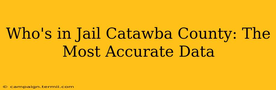 Who's in Jail Catawba County: The Most Accurate Data