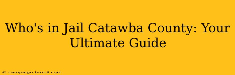 Who's in Jail Catawba County: Your Ultimate Guide