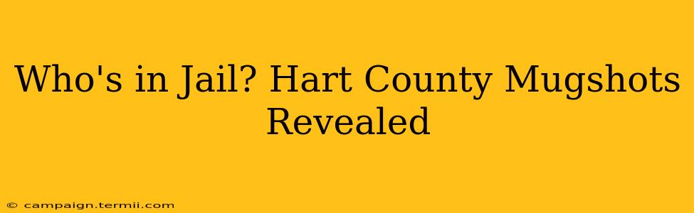 Who's in Jail? Hart County Mugshots Revealed