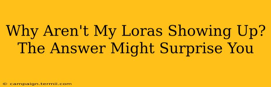 Why Aren't My Loras Showing Up? The Answer Might Surprise You