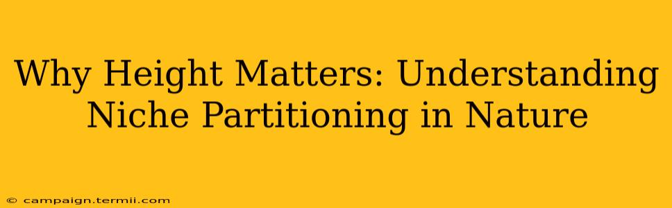 Why Height Matters: Understanding Niche Partitioning in Nature