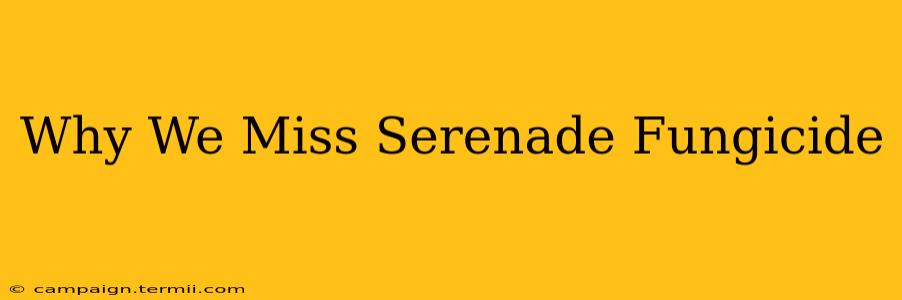 Why We Miss Serenade Fungicide