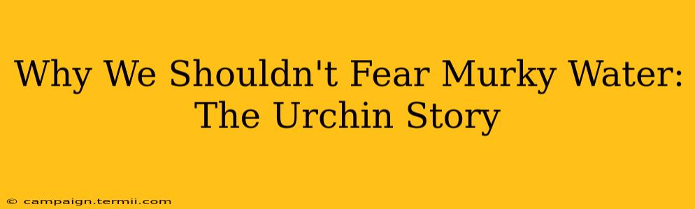 Why We Shouldn't Fear Murky Water: The Urchin Story