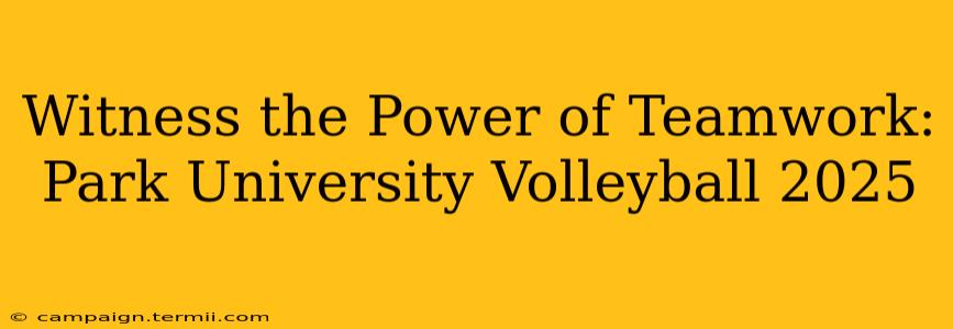 Witness the Power of Teamwork:  Park University Volleyball 2025