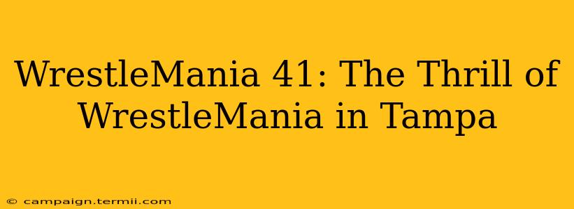 WrestleMania 41: The Thrill of WrestleMania in Tampa