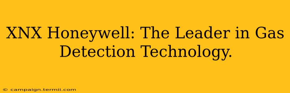 XNX Honeywell: The Leader in Gas Detection Technology.