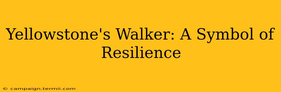 Yellowstone's Walker: A Symbol of Resilience