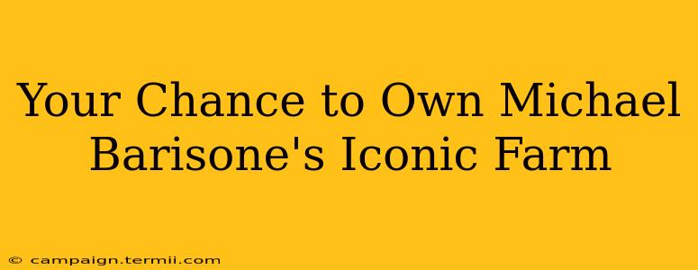 Your Chance to Own Michael Barisone's Iconic Farm