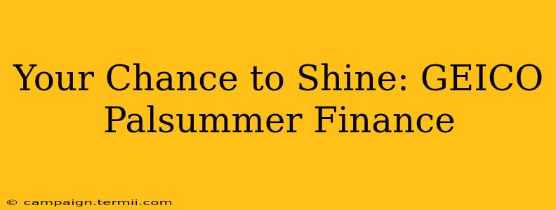 Your Chance to Shine: GEICO Palsummer Finance