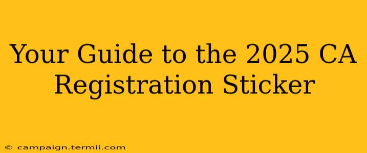 Your Guide to the 2025 CA Registration Sticker