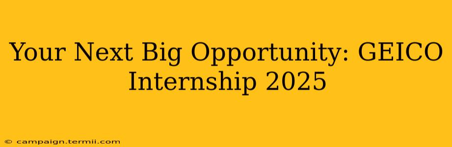 Your Next Big Opportunity: GEICO Internship 2025