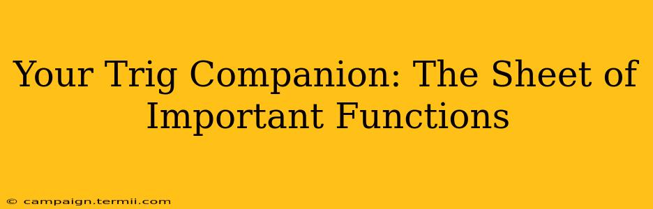 Your Trig Companion: The Sheet of Important Functions