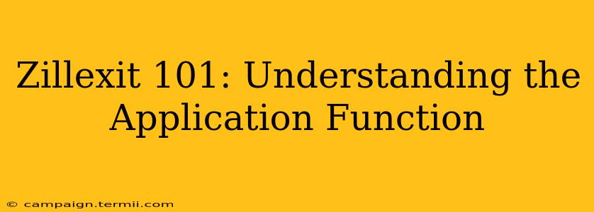 Zillexit 101: Understanding the Application Function