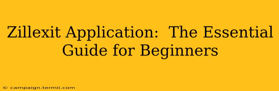 Zillexit Application:  The Essential Guide for Beginners