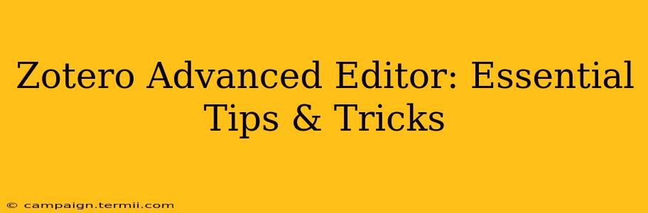 Zotero Advanced Editor: Essential Tips & Tricks