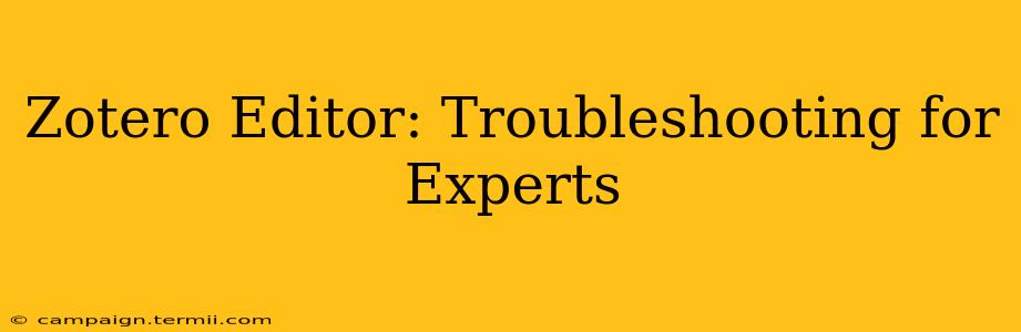 Zotero Editor: Troubleshooting for Experts