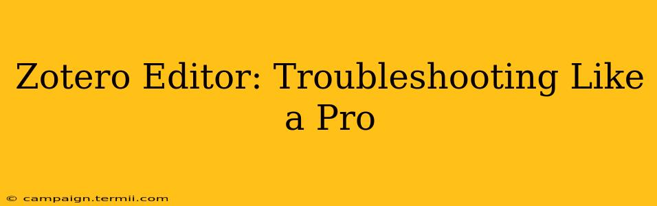 Zotero Editor: Troubleshooting Like a Pro